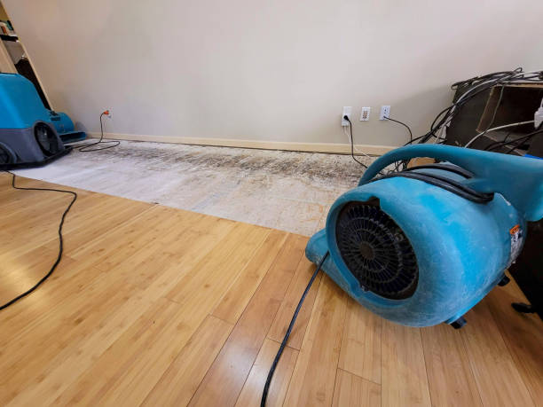 Professional Flood Damage Cleanup technician working in Pleasanton, CA
